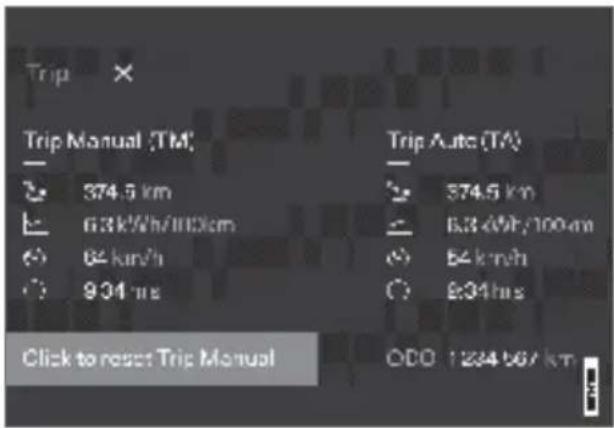 Polestar 2 - Trip computer - 2