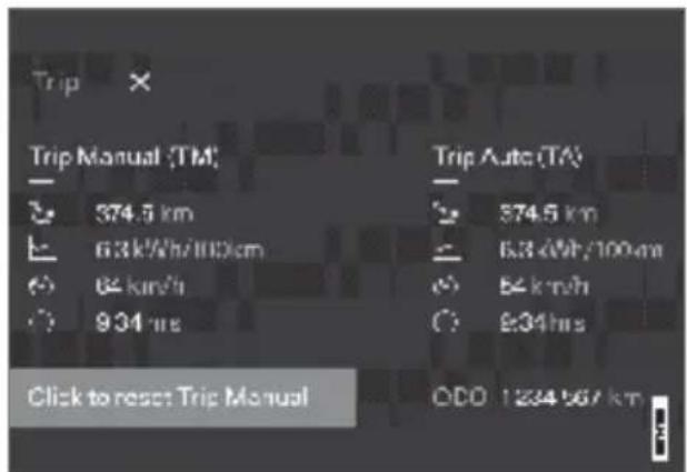 Polestar 2 - Driver display settings - 1