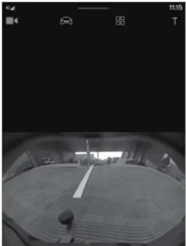 Polestar 2 - Park assist lines for park assist camera - 3