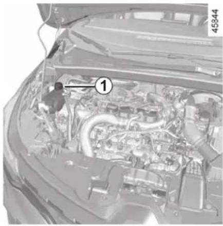 RENAULT Captur (2020) - LEVELS, FILTERS (1/3) - 1