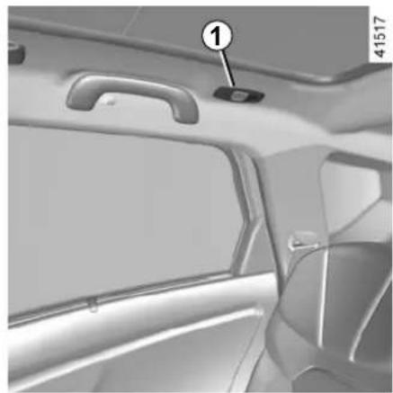 RENAULT Scenic (2020) - Map reading lights - 1
