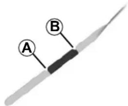 A B