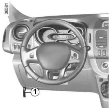 RENAULT Trafic (2020) - BONNET (1/2) - 7