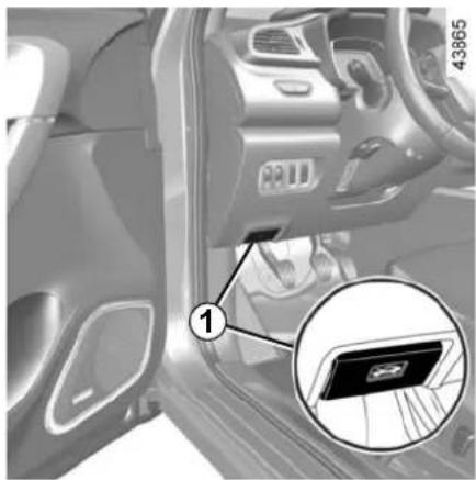 RENAULT Kadjar (2020) - BONNET (1/2) - 1