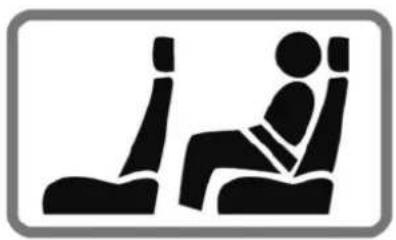 RENAULT Kadjar (2020) - Operating fault - 1