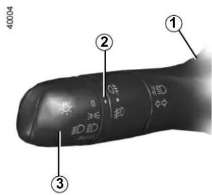 RENAULT Kadjar (2020) - Side lights - 2