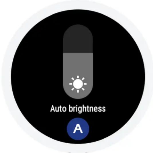 AMAZFIT T-Rex - Brightness adjustment - 1
