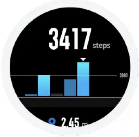 AMAZFIT T-Rex - Status - 2