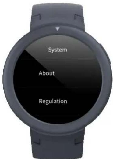 AMAZFIT Verge Lite - Settings - 4