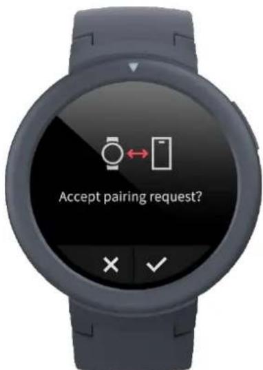 AMAZFIT Verge Lite - Device Pairing and Unpairing - 2