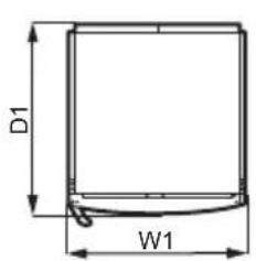 D1 W1
