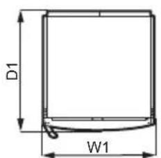 D1 W1