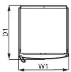 D1 W1