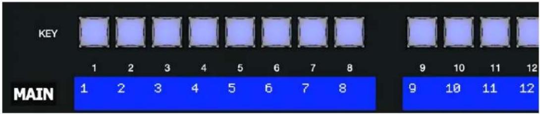 NEWTEK Tricaster Mini - DLGT STRIPE - 1