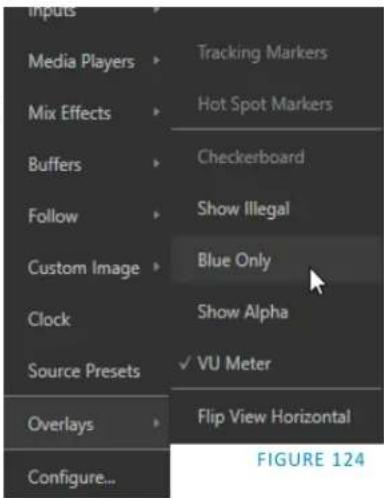 NEWTEK TriCaster TC1 - SECTION 10.5 VIEWPORT OPTIONS - 3