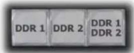 NEWTEK TriCaster TC1 - SECTION 24.2 OVERVIEW - 2