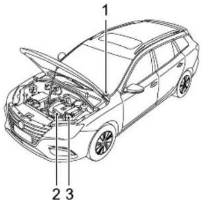 MG 5 EV (2020) - VehicleIdentification - 1