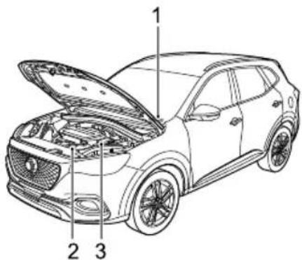 MG HS (2019) - VehicleIdentification - 1