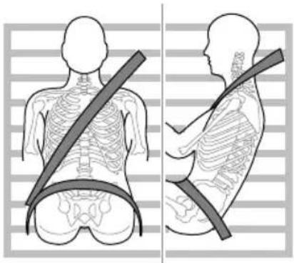 MG HS (2019) - CorrectRoutingoftheSeatBelts - 2