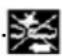 Dongfeng DFH4180 (2019) - System shut down - 1