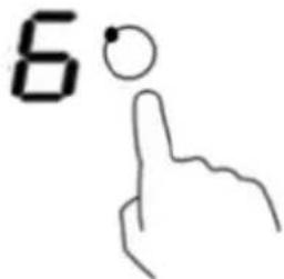 6