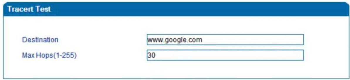 Tracert Test Destination www.google.com Max Hops(1-255) 30