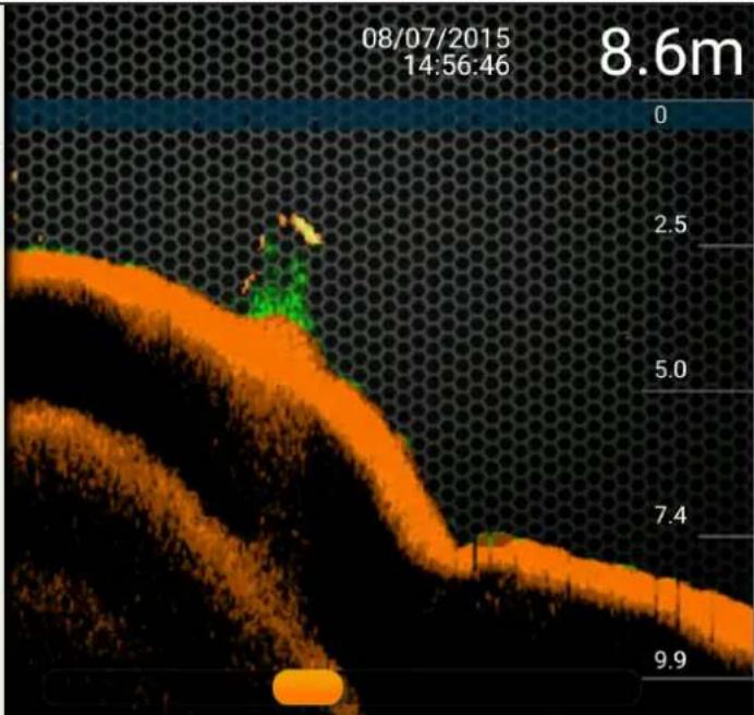 Deeper Smart Sonar Pro+ - Boat Mode - 31