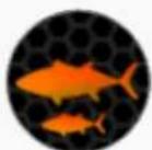 Deeper Smart Sonar Pro - Sonar operational principles - 13