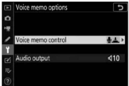 Voice memo options Voice memo control Audio output 10
