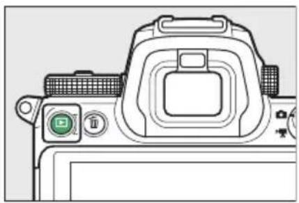 NIKON Z 7II - Přehrávání celého snímku - 1
