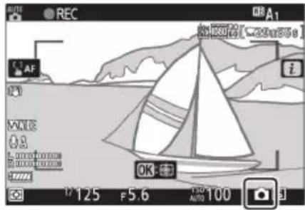 NIKON Z 7II - Fotografování v režimu Film - 1
