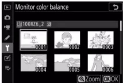 Monitor color balance 100WZ6_2 Zoom OK