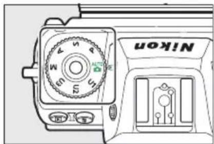 Nikon