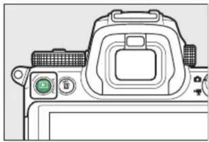 NIKON Z 7II - Zobrazte obrázek. - 1