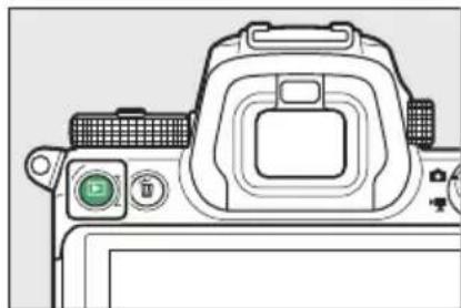 NIKON Z 7II - Hodnocení obrázků - 1