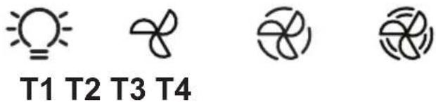 T1 T2 T3 T4