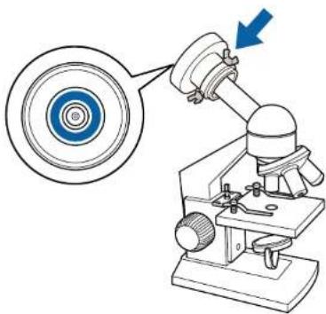 Diagram of a microscope with a magnified inset showing the lens and arrow (no text or symbols).
