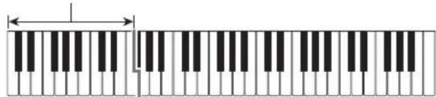CASIO Casiotone CT-S100 - ■FINGERED - 1