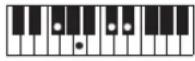 CASIO Casiotone CT-S100 - NOTE - 223