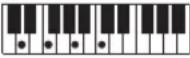 CASIO Casiotone CT-S100 - NOTE - 45