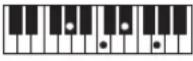 CASIO Casiotone CT-S100 - NOTE - 165