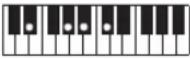 CASIO Casiotone CT-S100 - NOTE - 70