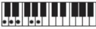 CASIO Casiotone CT-S100 - NOTE - 97