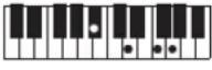 CASIO Casiotone CT-S100 - NOTE - 221