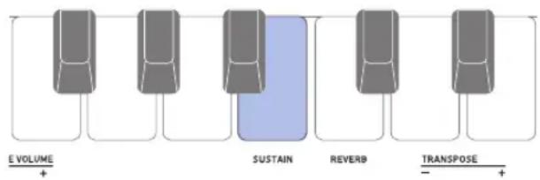 E VOLUME + SUSTAIN REVERB TRANSPOSE - +