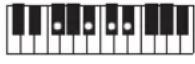 CASIO Casiotone CT-S100 - NOTE - 217