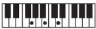 CASIO Casiotone CT-S100 - NOTE - 116
