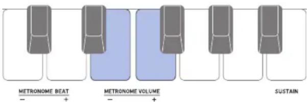 METRONOME BEAT - + METRONOME VOLUME - + SUSTAIN