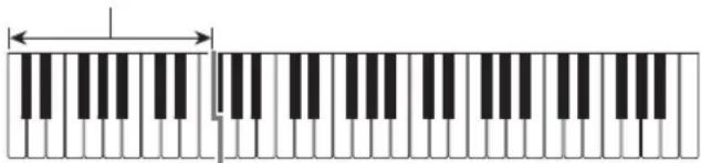 CASIO Casiotone CT-S100 - Fingering a Chord to Play a Rhythm Accompaniment - 1