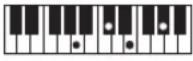 CASIO Casiotone CT-S100 - NOTE - 166